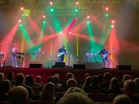 Steve Hackett 2-10-21 photo