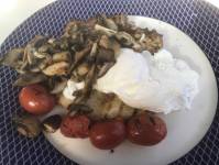 Much Room for Mushrooms photo