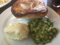 Much Room For Mushrooms photo